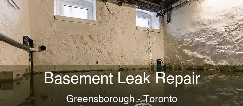  Basement Leak Repair Greensborough - Toronto