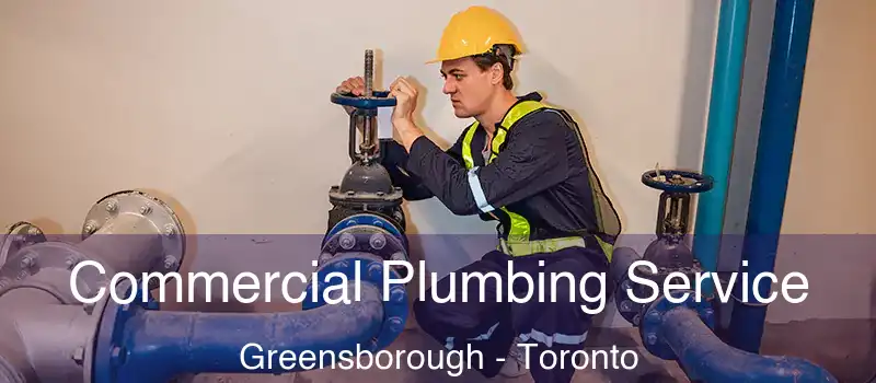  Commercial Plumbing Service Greensborough - Toronto
