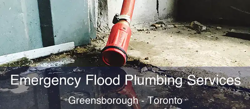  Emergency Flood Plumbing Services Greensborough - Toronto