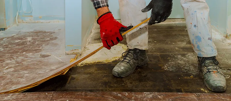 Cost Of Flooded Basement Cleanup in Greensborough, Toronto