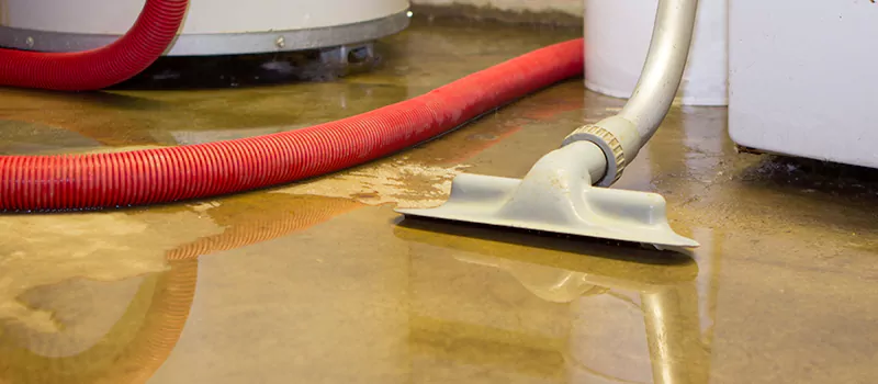 Professional Sewer Backup Cleanup Services in Greensborough, Toronto