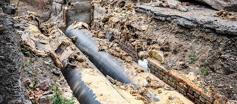 Commercial Sewer Tree Roots Damage Solutions in Greensborough, Toronto