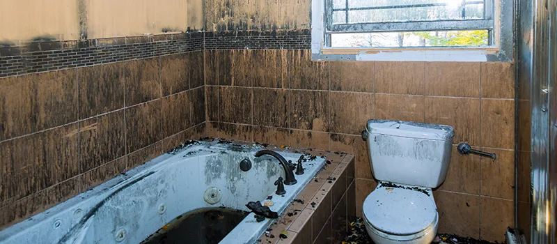 Residential Water Damage Restoration in Greensborough, Toronto