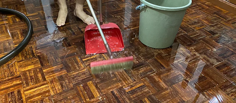 Water Removal And Restoration Services in Greensborough, Toronto