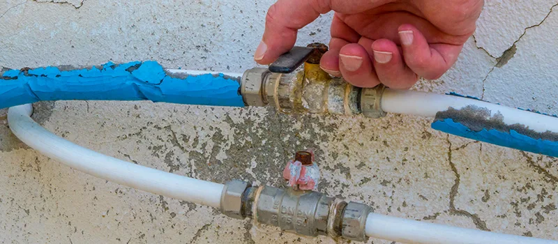 Ceiling Water Damage Repair in Greensborough, Toronto