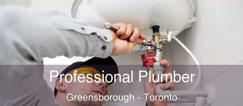  Professional Plumber Greensborough - Toronto