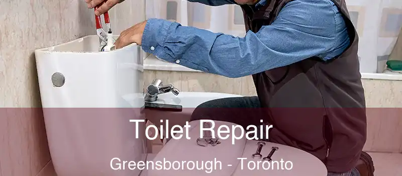  Toilet Repair Greensborough - Toronto