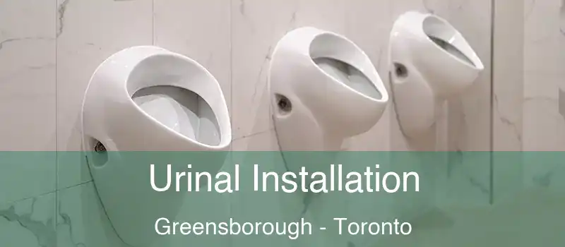  Urinal Installation Greensborough - Toronto