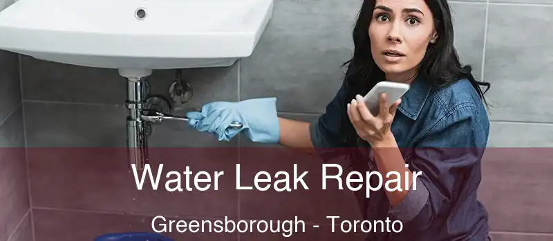  Water Leak Repair Greensborough - Toronto