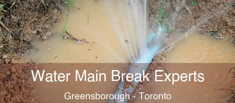  Water Main Break Experts Greensborough - Toronto