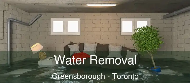  Water Removal Greensborough - Toronto